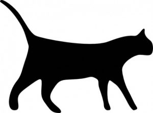 cat-icons_f